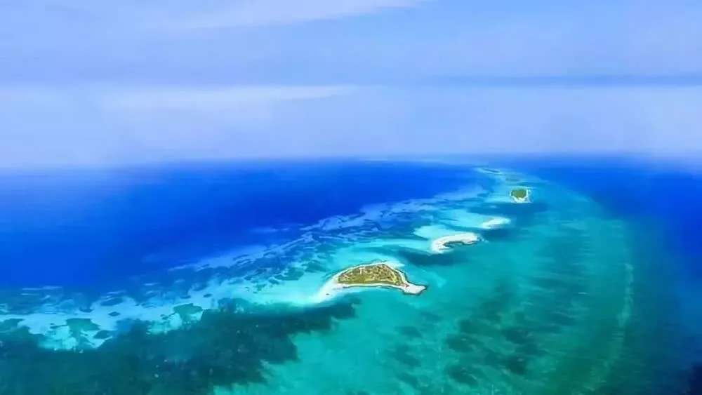 “海南自由港”震撼登場(chǎng)！40個(gè)亮點(diǎn)東方和利帶你一文看懂